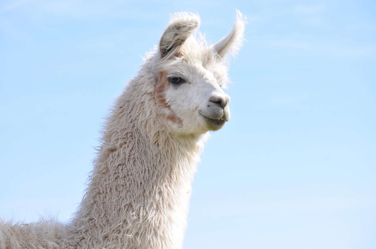 Profil Polda Banyuasin: Sejarah dan Perkembangannya