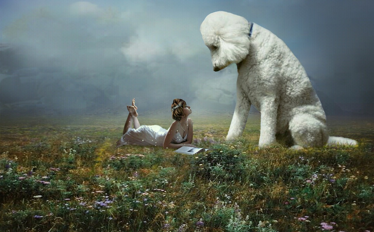 Inovasi Layanan Publik di Polda Banyuasin